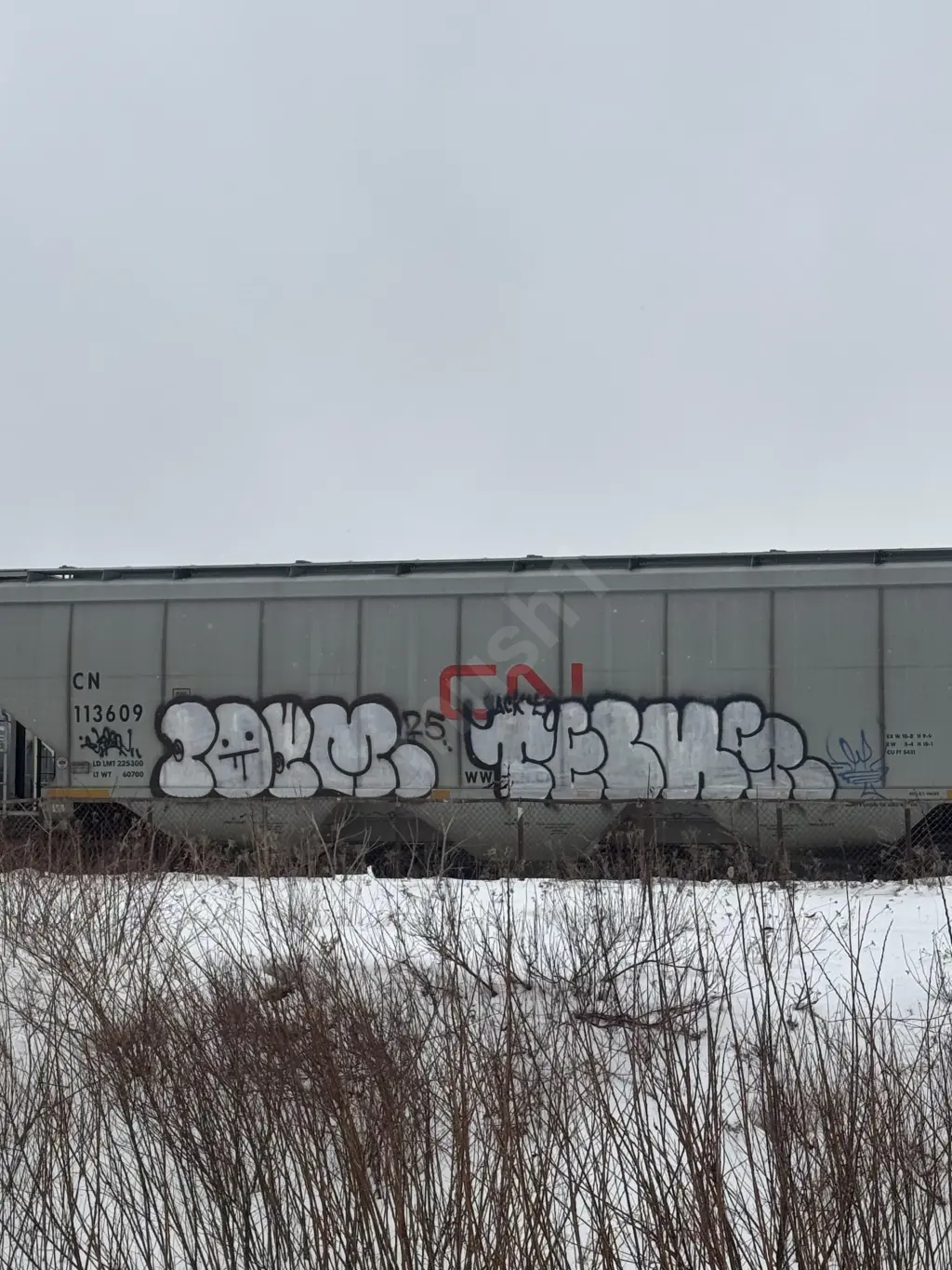CN113609 - NORTH-AMERICA