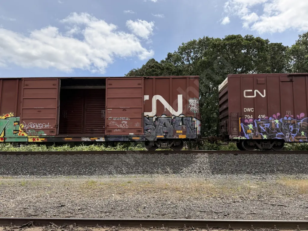IC533118 - NORTH-AMERICA