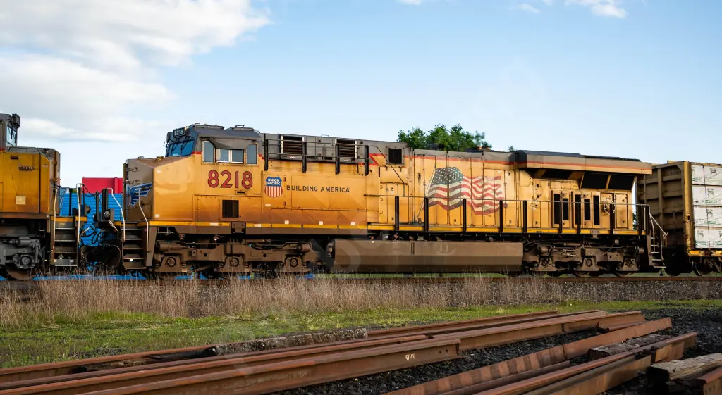 UP8218 - NORTH-AMERICA