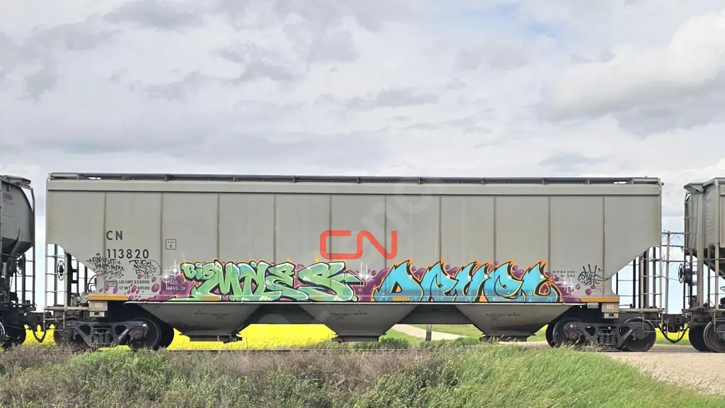 CN113820 - NORTH-AMERICA