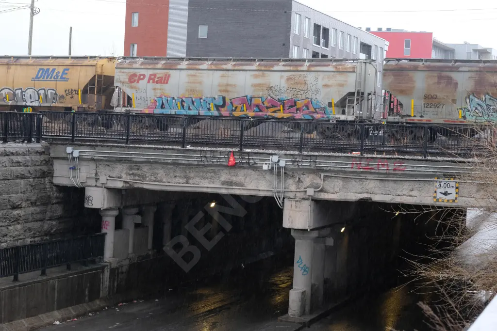 SOO118830 - NORTH-AMERICA