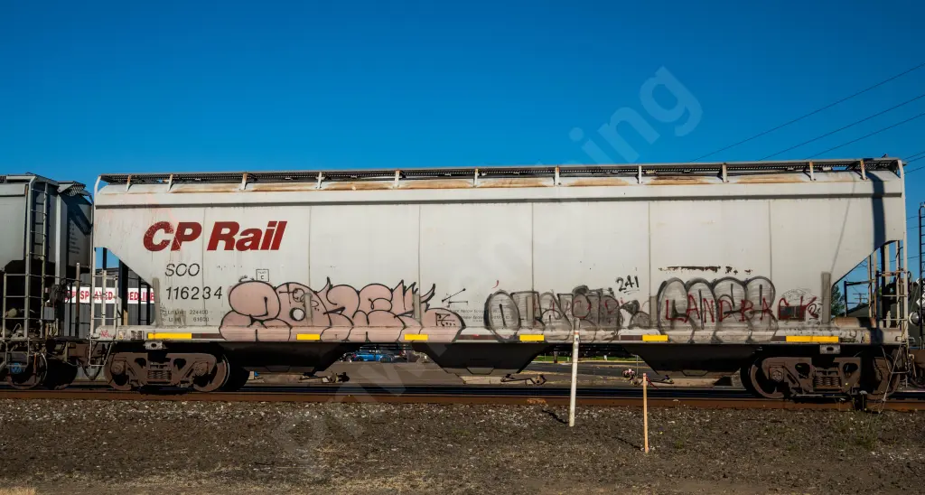 SOO116234 - NORTH-AMERICA