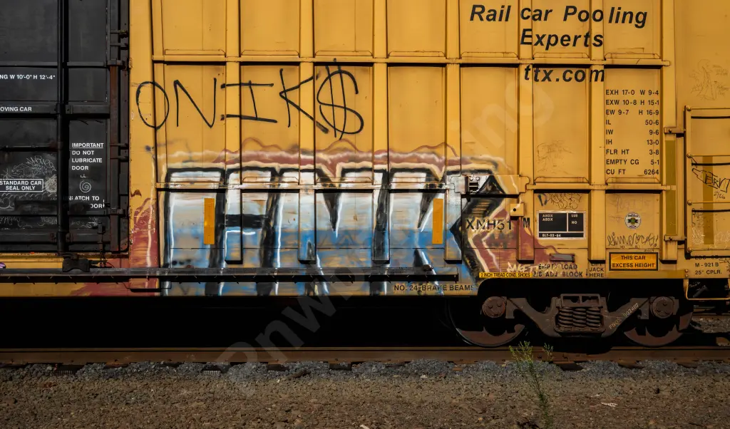 FBOX502487 - NORTH-AMERICA