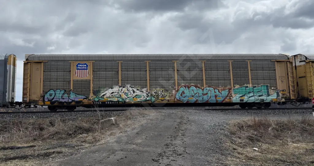 TTGX988471 - NORTH-AMERICA