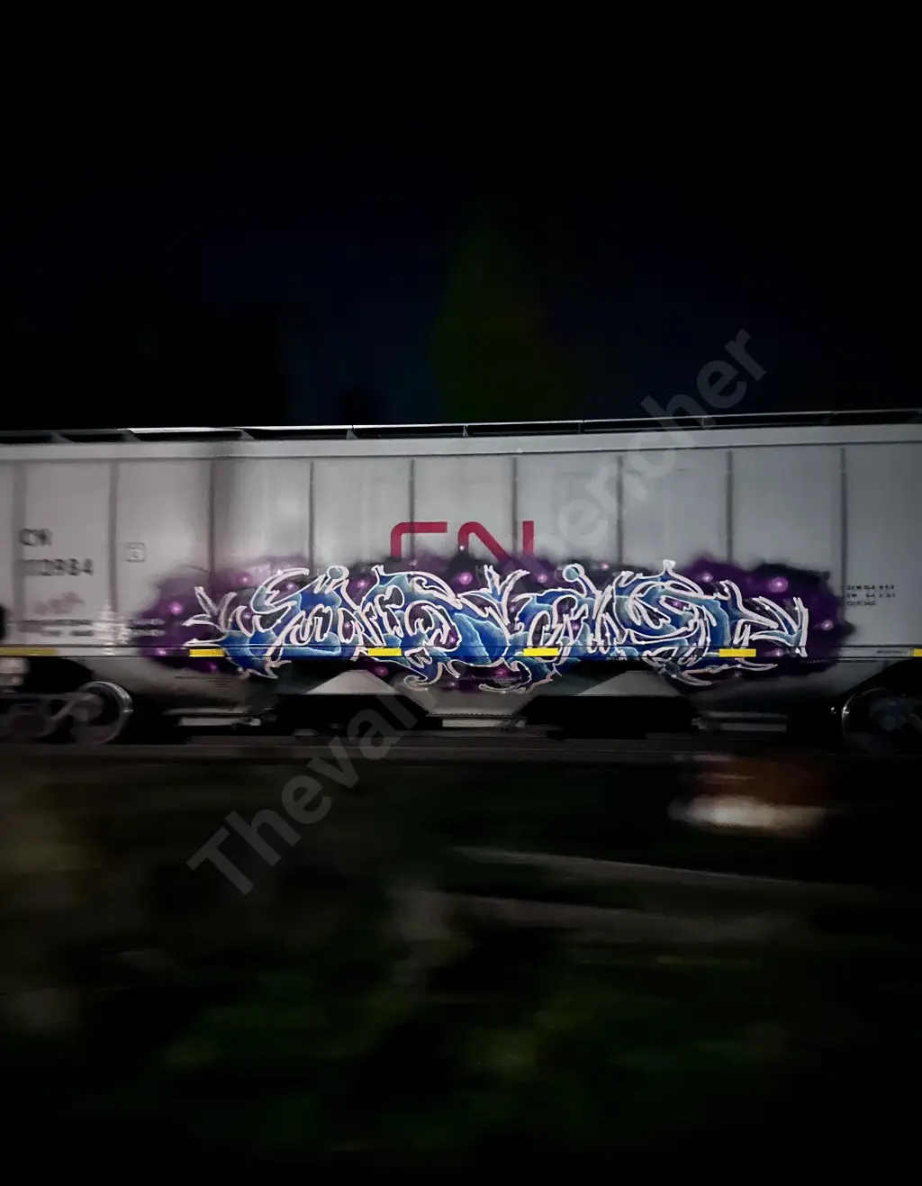 IBIS113984 - NORTH-AMERICA