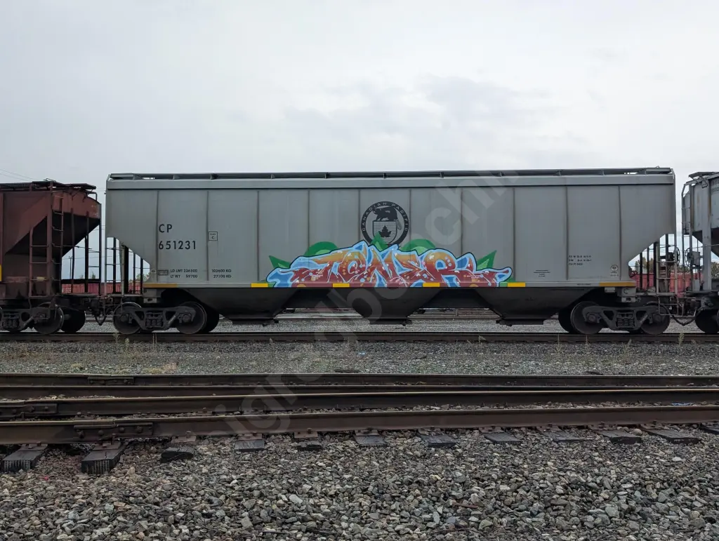 CP651231 - NORTH-AMERICA