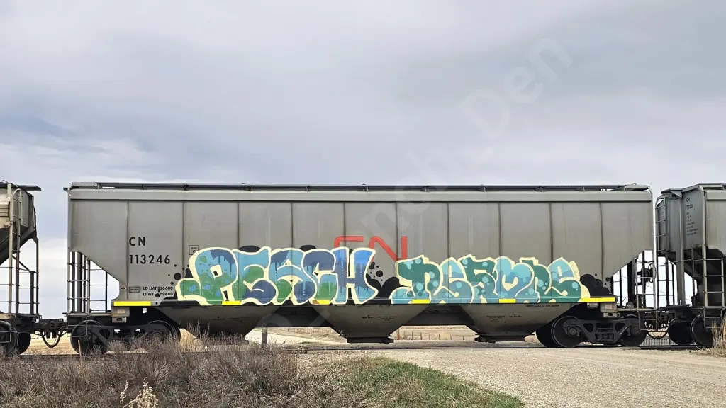 CN113246 - NORTH-AMERICA