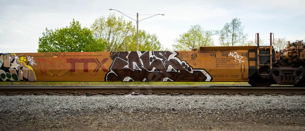 Train photo