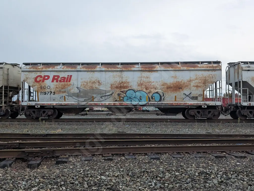 SOO115773 - NORTH-AMERICA