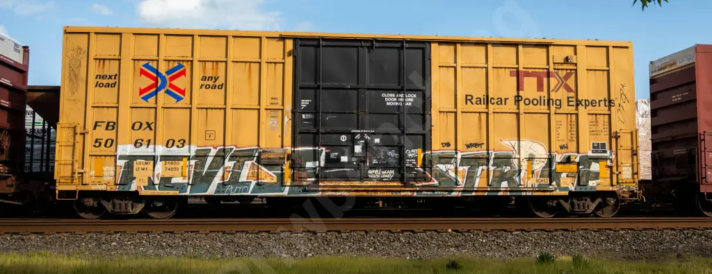 FBOX506103 - NORTH-AMERICA
