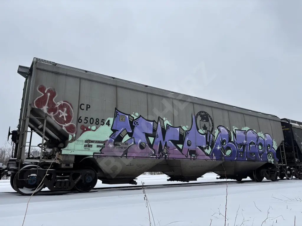 CP650854 - NORTH-AMERICA