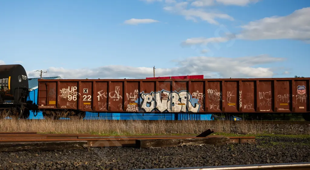 UP96221 - NORTH-AMERICA