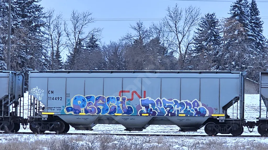 CN114492 - NORTH-AMERICA