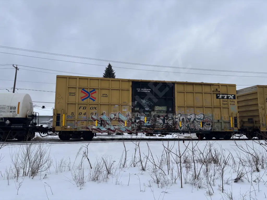 FBOX504014 - NORTH-AMERICA