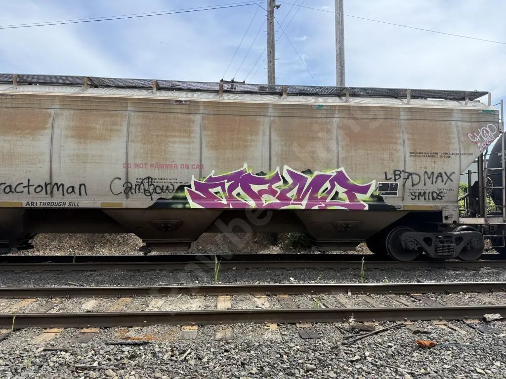 AOK71477 - NORTH-AMERICA