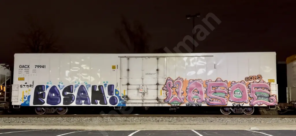 GACX79941 - NORTH-AMERICA