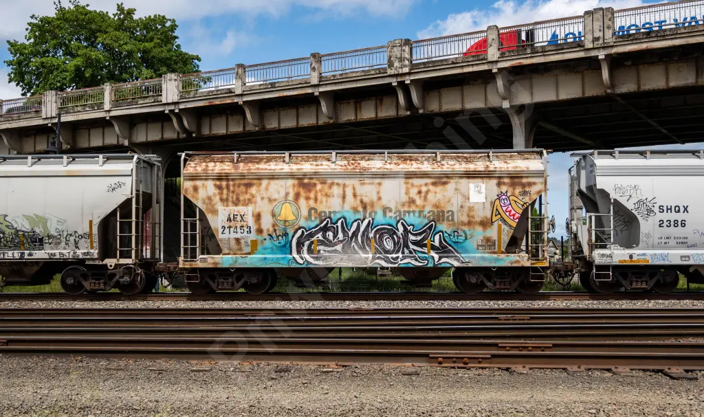AEX21453 - NORTH-AMERICA