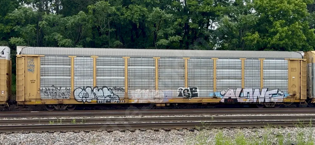TTGX983345 - NORTH-AMERICA