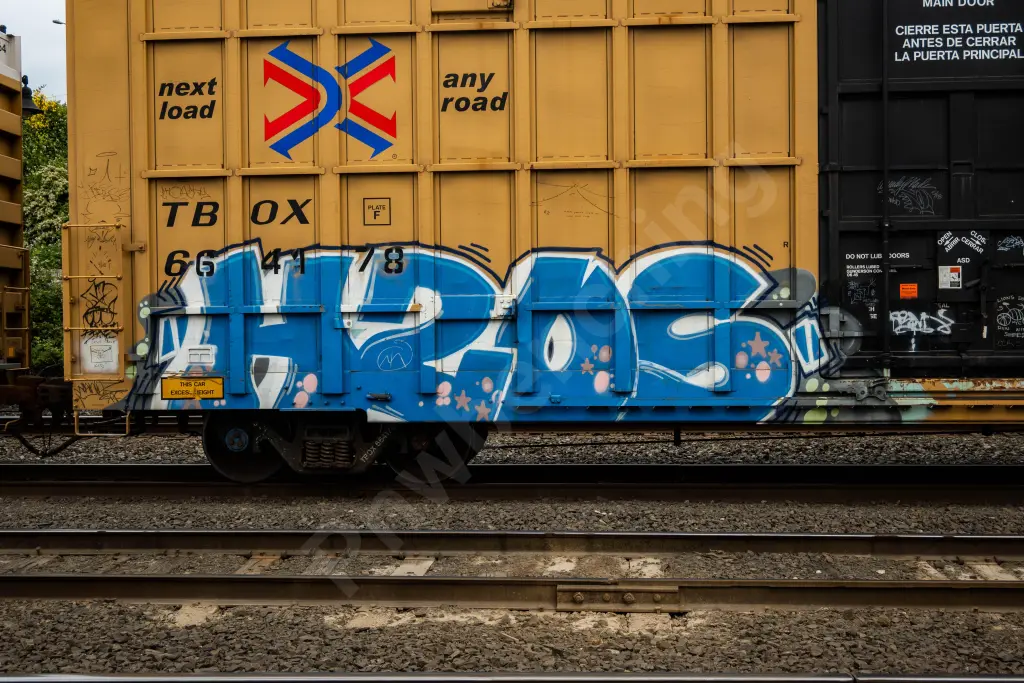 TBOX664178 - NORTH-AMERICA