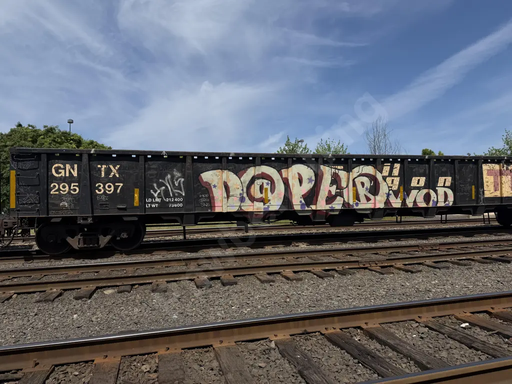 GNTX295397 - NORTH-AMERICA