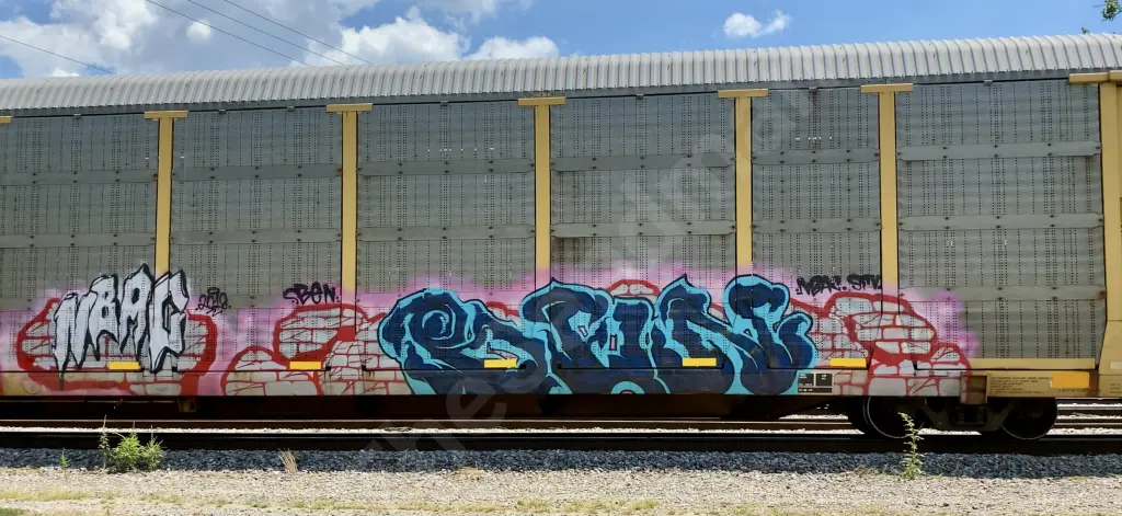 TTGX986101 - NORTH-AMERICA