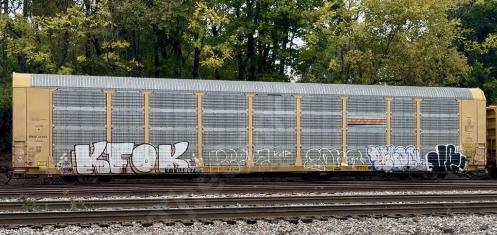 TTGX967185 - NORTH-AMERICA