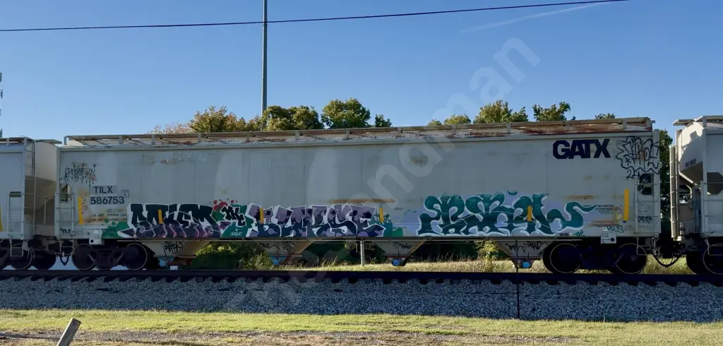 TILX586753 - NORTH-AMERICA