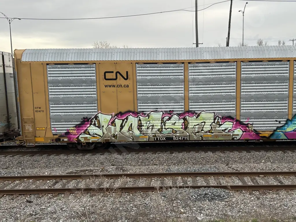 TTGX824711 - NORTH-AMERICA