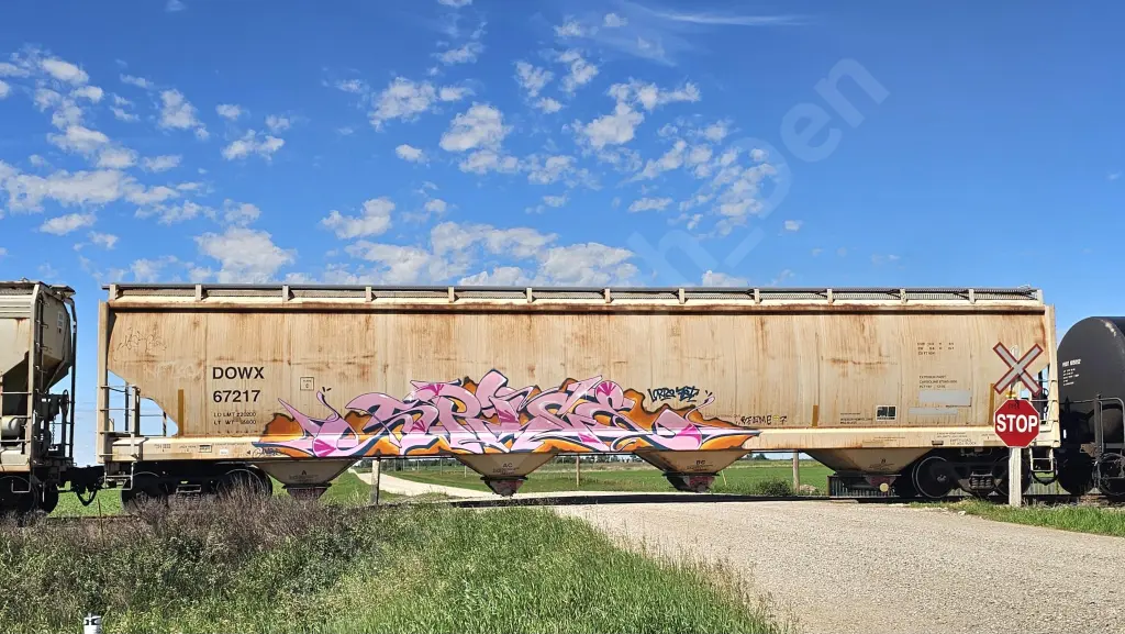 DOWX67217 - NORTH-AMERICA