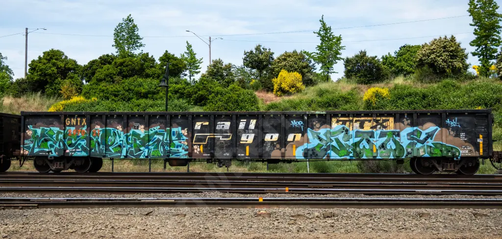 GNTX297021 - NORTH-AMERICA