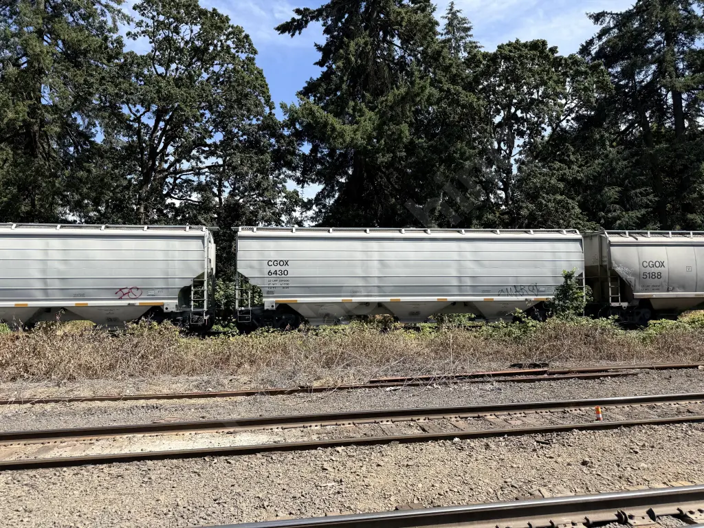 Train photo