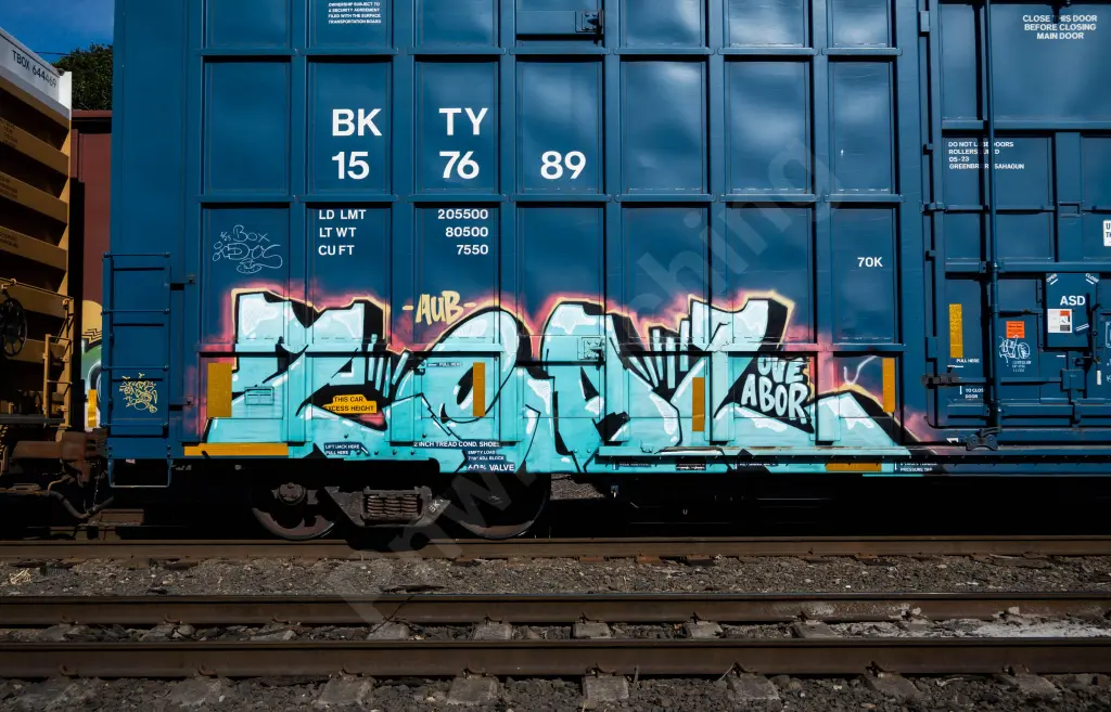 BKTY157689 - NORTH-AMERICA