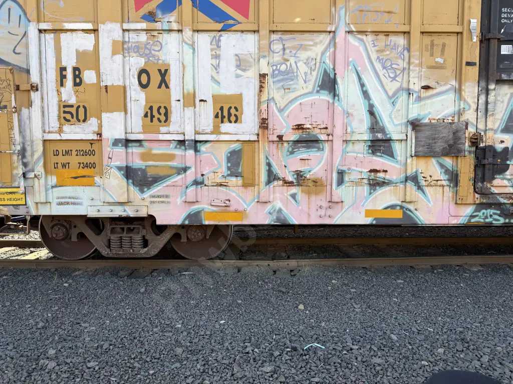 FBOX504946 - NORTH-AMERICA