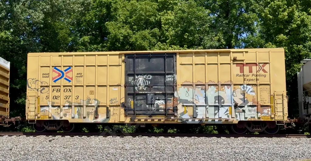 FBOX502373 - NORTH-AMERICA