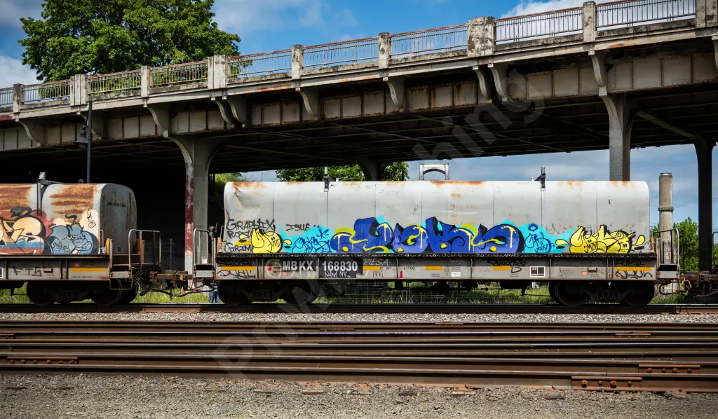 MBKX168830 - NORTH-AMERICA