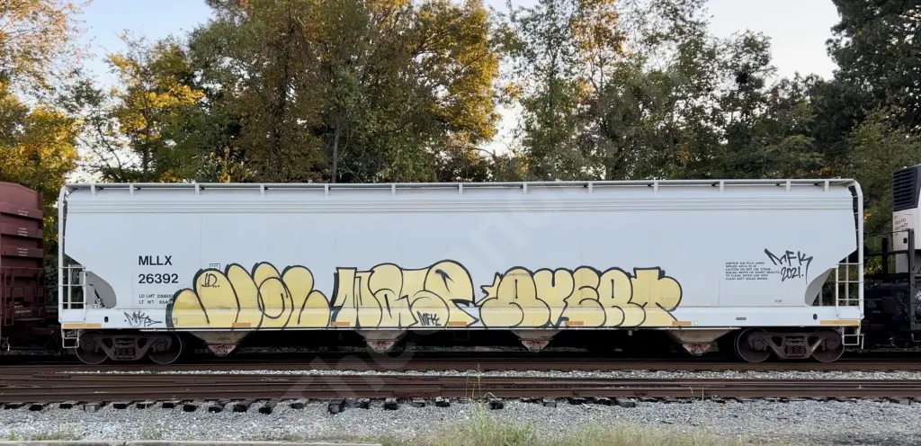 MLLX26392 - NORTH-AMERICA
