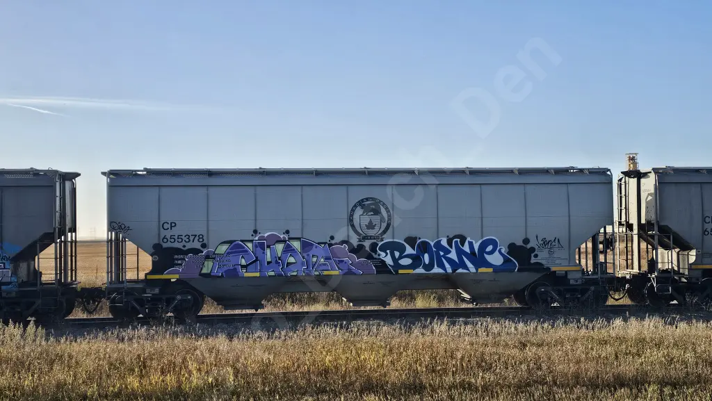 CP655378 - NORTH-AMERICA