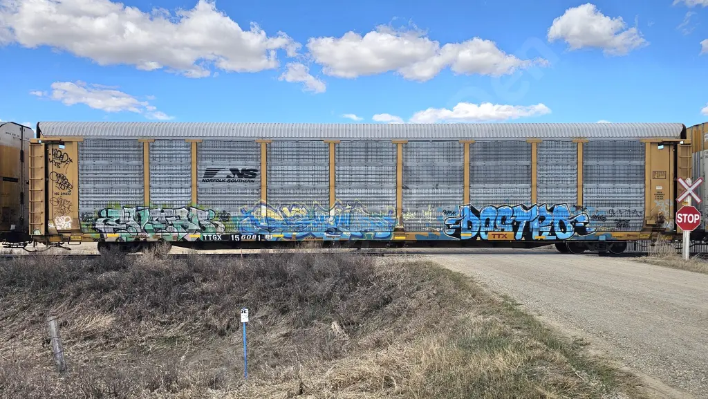 TTGX156081 - NORTH-AMERICA