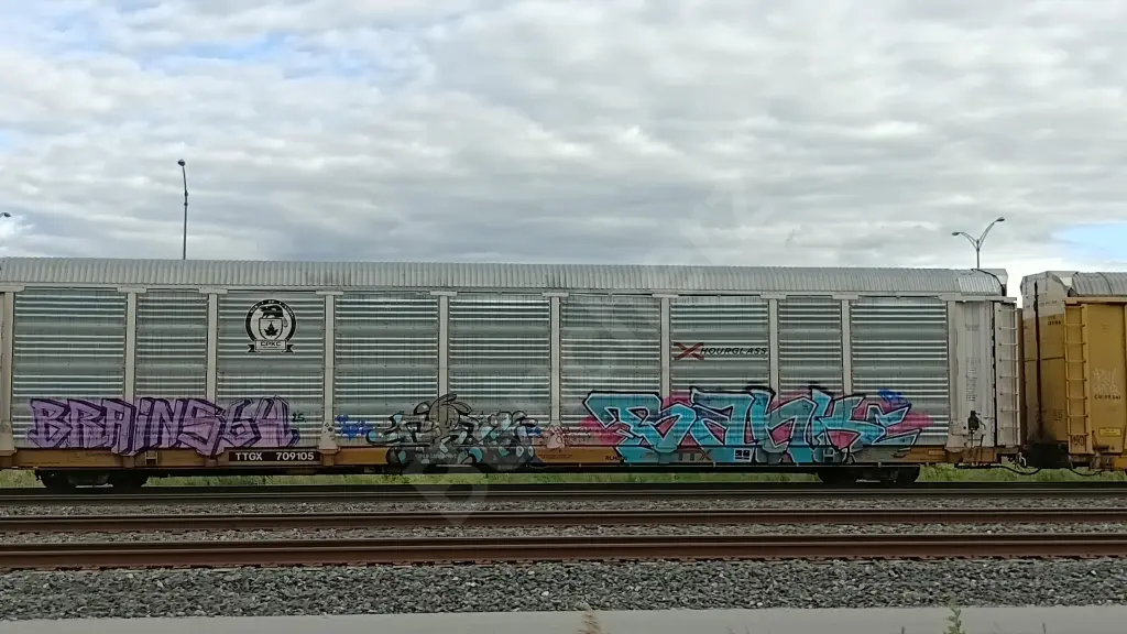 TTGX709105 - NORTH-AMERICA