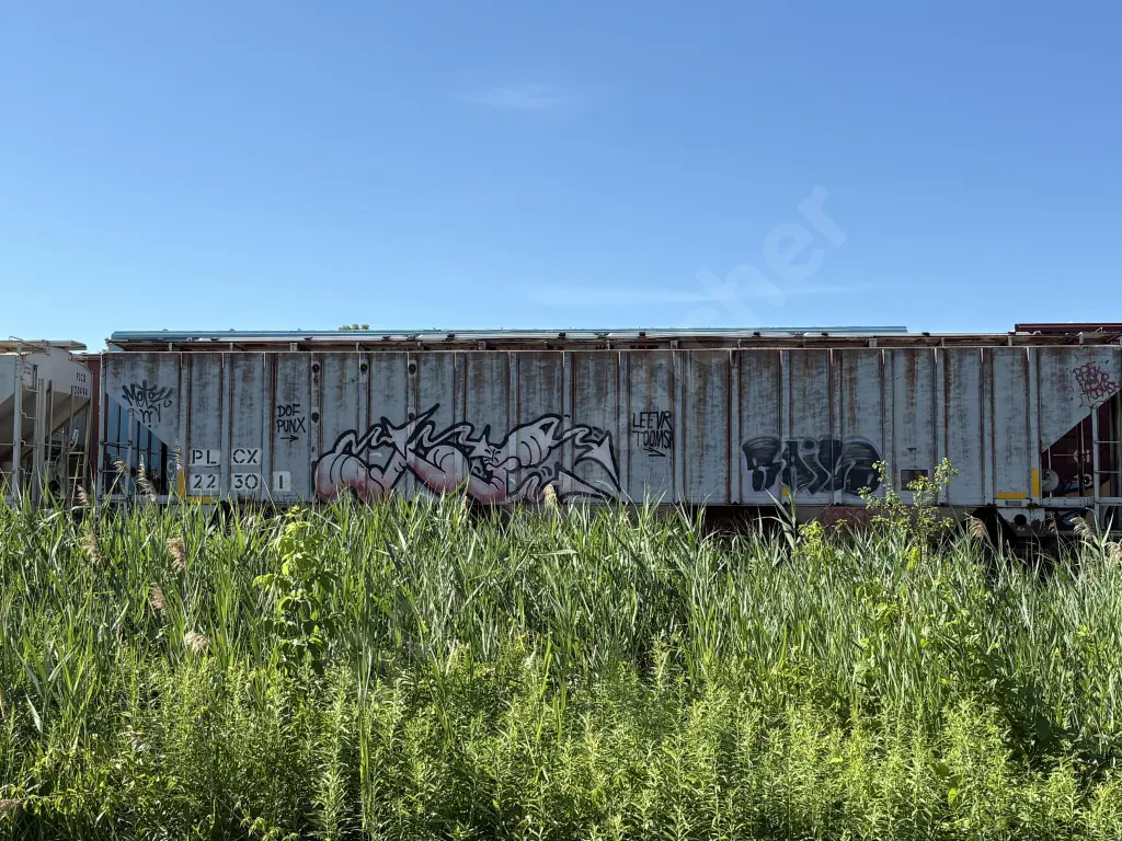 PLCX22301 - NORTH-AMERICA
