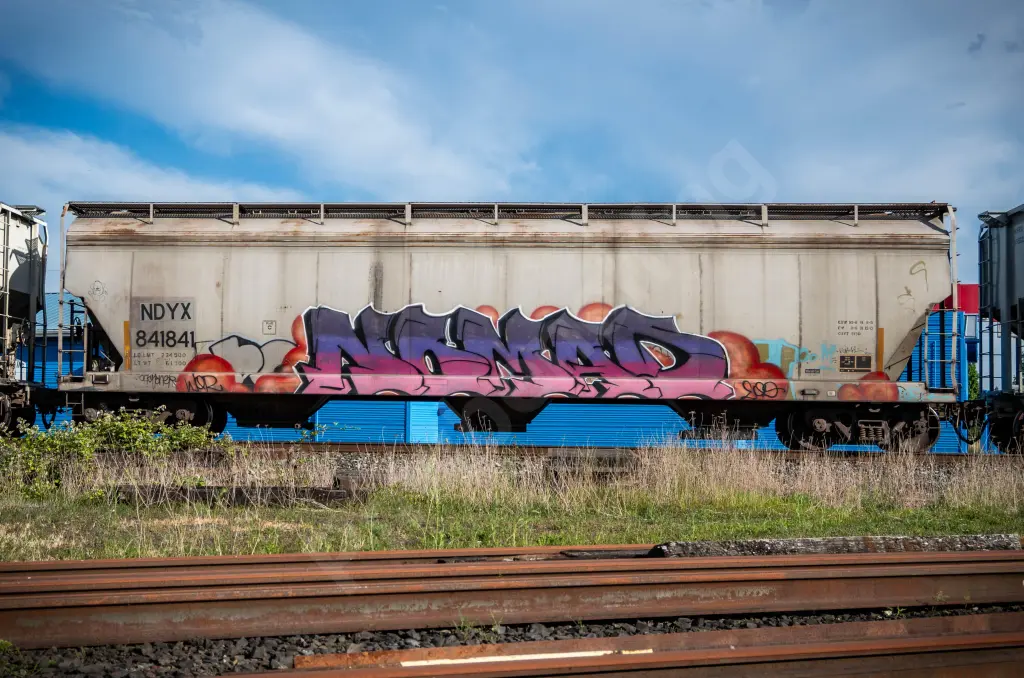 NDYX841841 - NORTH-AMERICA