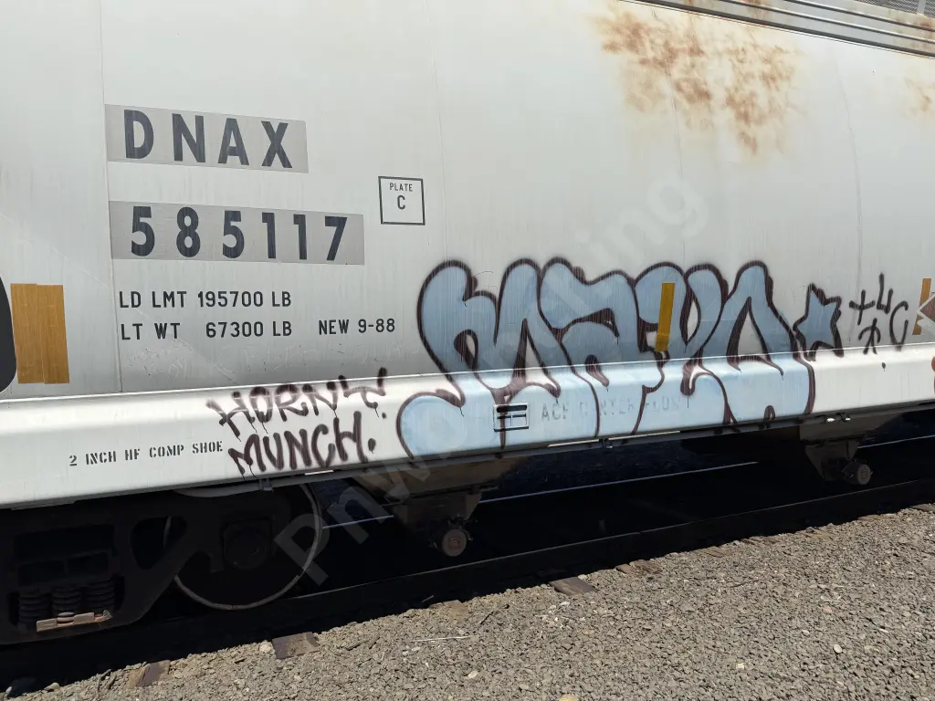 DNAX585117 - NORTH-AMERICA