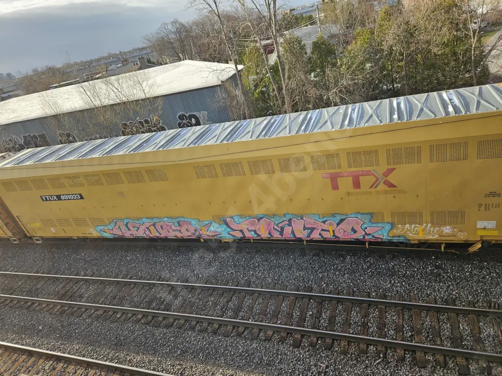 TTUX891033 - NORTH-AMERICA