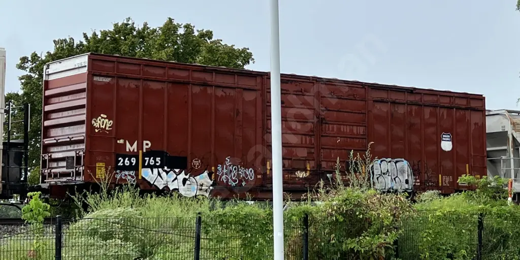 MP269765 - NORTH-AMERICA