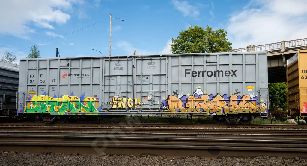 FXE875017 - NORTH-AMERICA