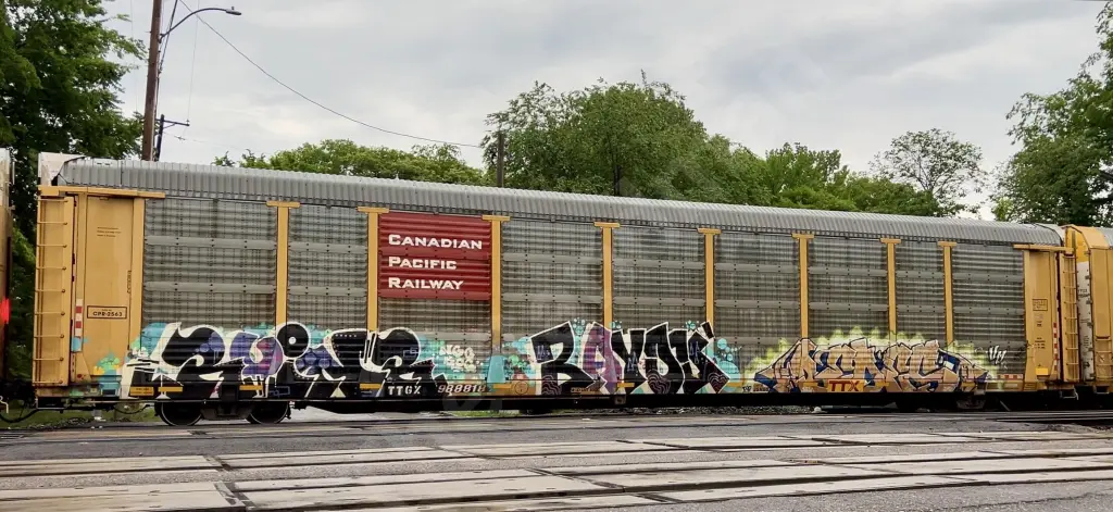 TTGX988818 - NORTH-AMERICA