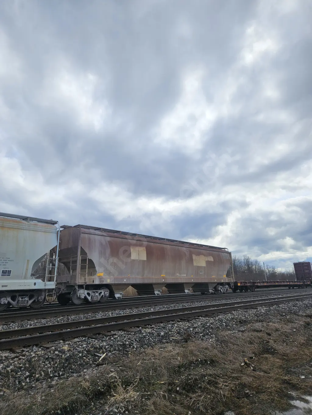 GPLX75524 - NORTH-AMERICA