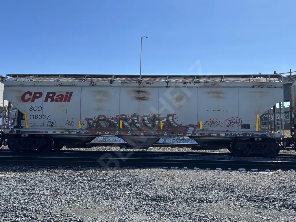 SOO116337 - NORTH-AMERICA
