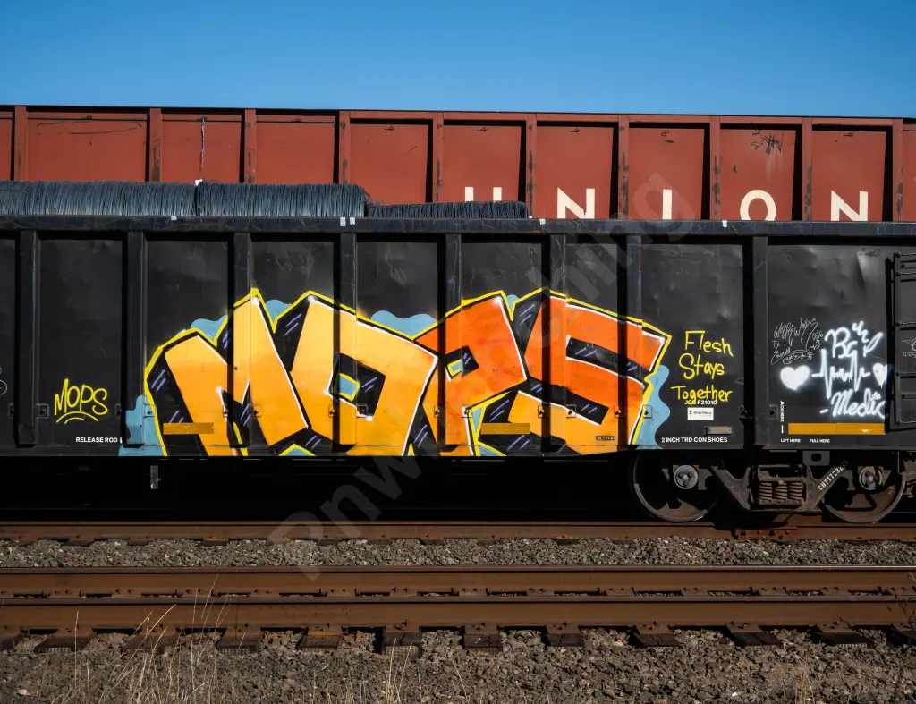 CHTT214213 - NORTH-AMERICA
