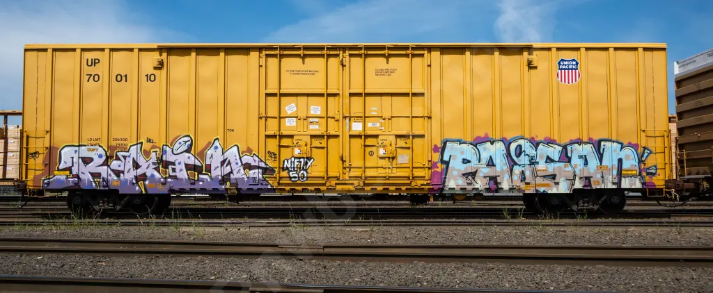 UP700110 - NORTH-AMERICA